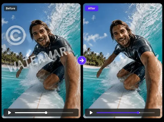 Video Watermark Remover